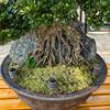 10Pcs Column Shape Plant Fertilizer Baskets Slow Release Plant Growth Box  Potted Plants