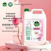 Dettol Увлажняющее антибактериальное мыло для рук, сменный блок, 5 л