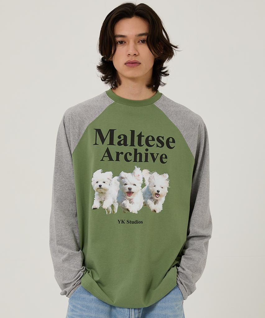 WAIKEI Maltese Archive Raglan Long Sleeve T-Shirt Mint