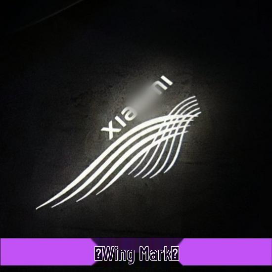 Световой элемент приветствия двери автомобиля SU7 YU7: Аксессуар-датчик проекции Pro MAX