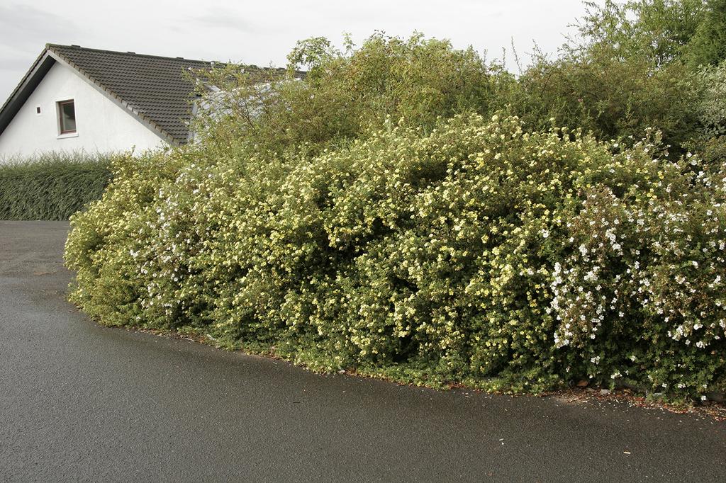 Canon EF Lens IS USM Digital Dedicated Zoom Lens Standard EF-S17-85mm F4-5.6