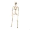 Halloween Skeleton Decoration Sculpture Full Body Joints Skeletons Skull Figurine for Backyard