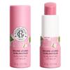 Dudoqlar uchun boʻyanish – Lip Balms