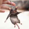 Bendable Mouse Keychain Wire Frame Mouse Doll Novelty Rat Plush Pendant  Kids Toy