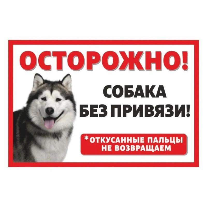 Смешная предупреждающая табличка о бродячей собаке, юмористическая табличка на забор
