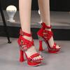 Fashion Summer New Women Sexy Platform High Heels 14CM Pole Dancing Rivet Sandals Ankle Strap Cover Heel Exotic Zipper Dancer Shoes