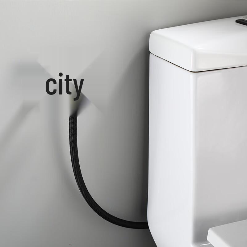 TLXT Black Stainless Steel Toilet Bidet Sprayer Kit