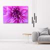 Canvas print, Purple flower