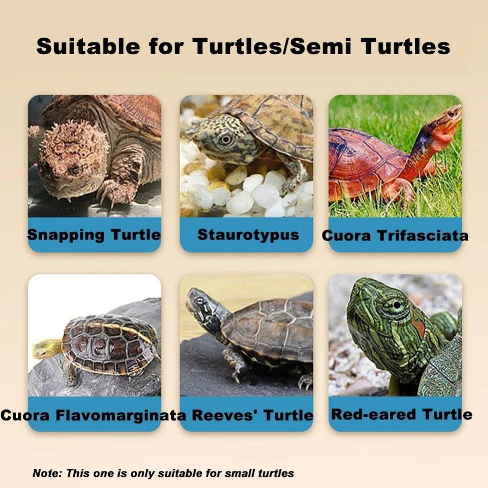 Multi-function Area Turtle Tank Bask Platform Indoor Turtle Enclosure Turtle House Reptile Habitat