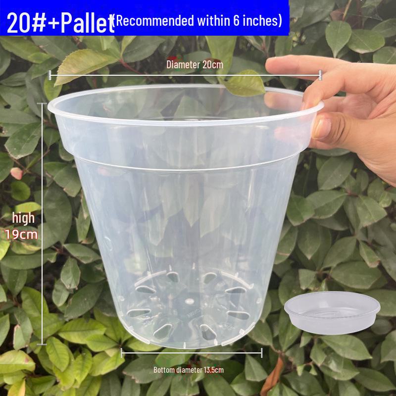 Clear Plastic Orchid Pot: Sphagnum Moss, Square & Round Design for Phalaenopsis or Fish Tanks