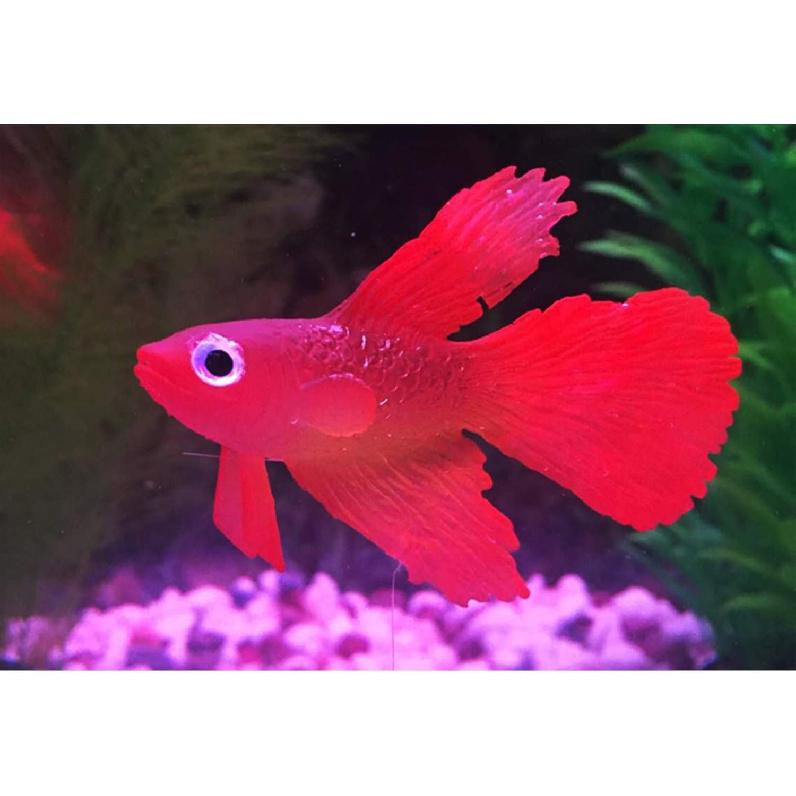 Artificial Silicone Betta Fish Tank Decoration, Aquarium Fake Fish High Simulation Lifelike Floating Betta Fish Tank Ornament