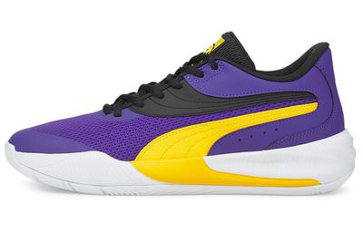 Баскетбольные кроссовки 'Prism Violet Spectra Yellow' 376640-10