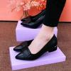 New Single-shoe Flat Shallow Thick-heeled Pointed Women's Shoes with Soft Soles and Versatile Designs