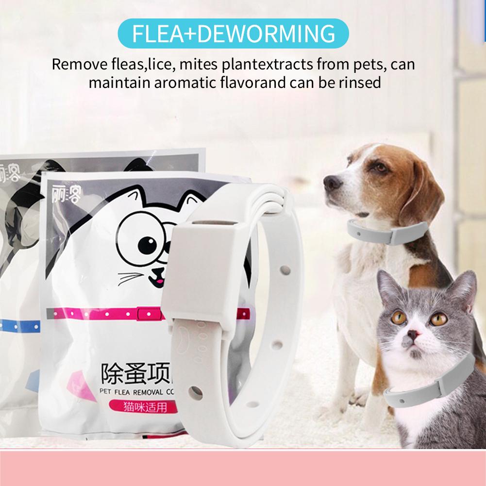 15/19inch Pet Antiparasitic Collar Anti Flea Tick Mite Lice Repellent Dog Cat Collar Deworming Collar Supplies 2 Years Shelf Life