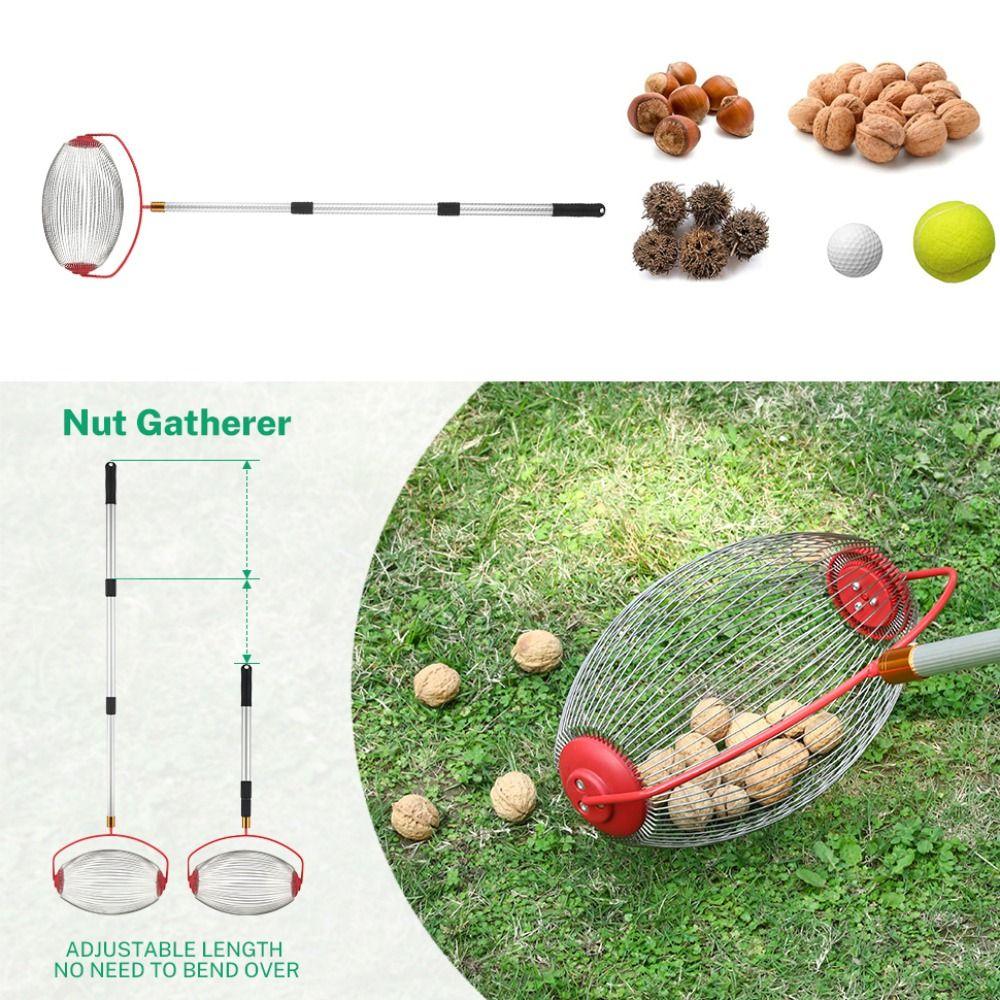 Collector Adjustable Rolling Fruit Picker Ball Collector Fruit Picker Nut Harvester Ball Picker