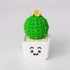 4Pcs/Set Mini Potted Cactus Ornament Cartoon Expression LOVE Shape Cactus Planter Pot Statue Figurine
