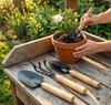 3PCS Small Garden Tools Set - Mini Garden Tools Set with Trowel, Shovel & Hand Rake Made of Rust-Resistant Iron & Solid Wood for Indoor Plants