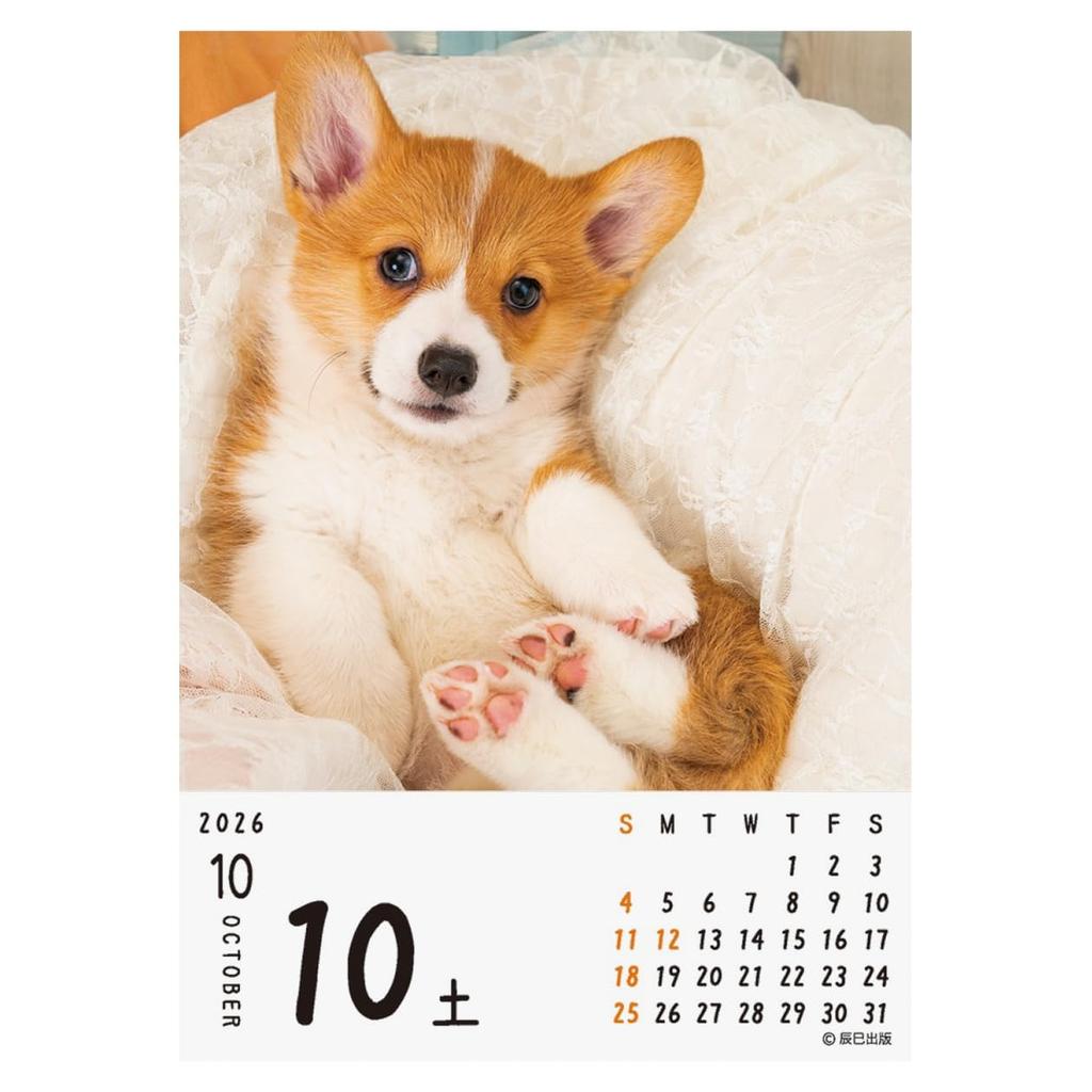 Календарь 2026 Один!! кувырок