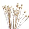 Elegant Handmade Fragrance Living Room For Home Fireless Aroma Diffuser Sticks Artificial Flower Dried Flowers Aromatic Incense
