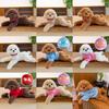 Teddy Hoodie Dog Plush Toy Cute Cartoon Collar Animal Doll Girl Birthday Gift
