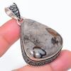 Natural Rock Fossil Gemstone 925 Sterling Silver Jewelry Pendant 2.17" G4A55