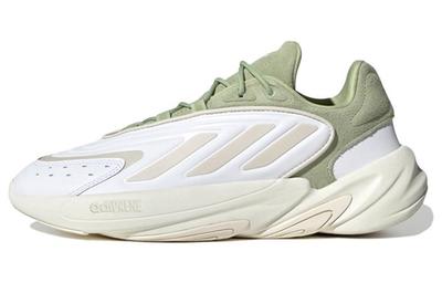 Ozelia 'Green White' GY9977
