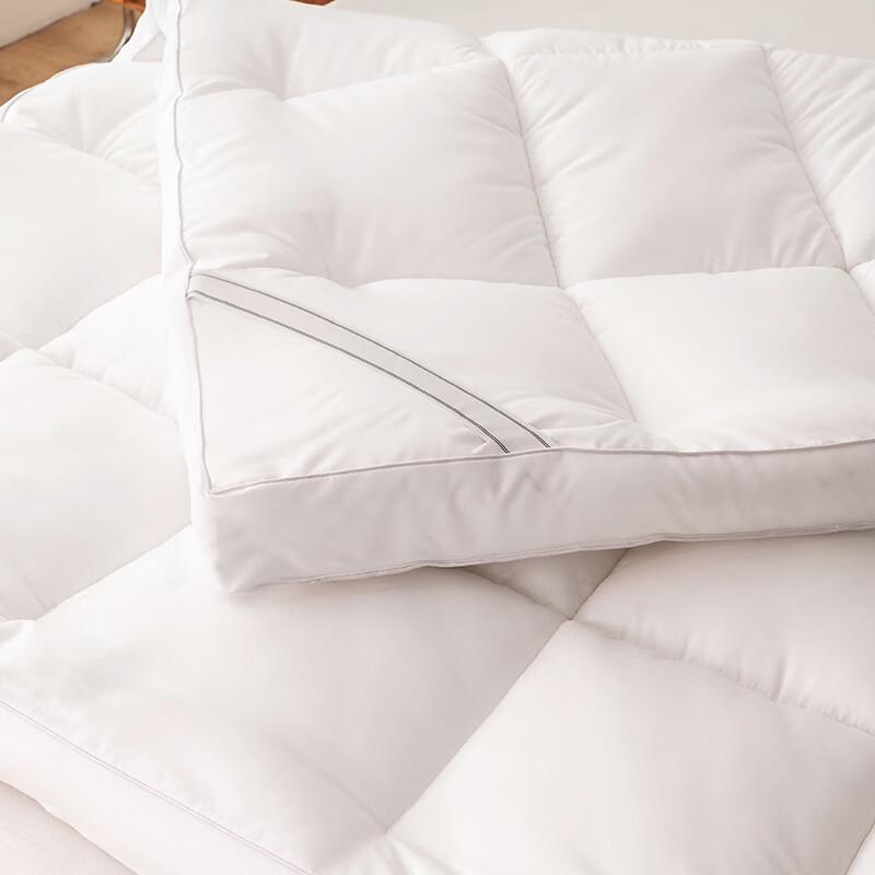 LISM Thickened Soft Mattress Pad
