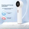 Freezing Point Beauty Instrument Hot and Cold Introducer Ice Compress Instrument Charging Shrinking Pores Cleaning Beauty Small Ice Hammer