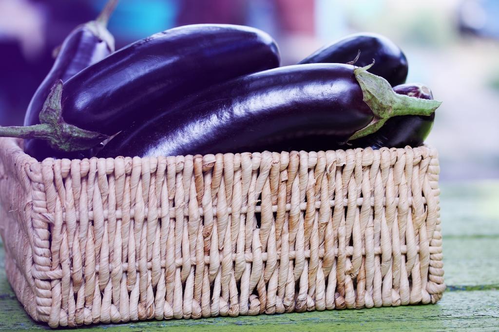 SAFLAX Сад в сумке - Органический - Баклажан - Длинный фиолетовый - 20 семян - С субстратом в подходящем стоячем мешке - Solanum melongena