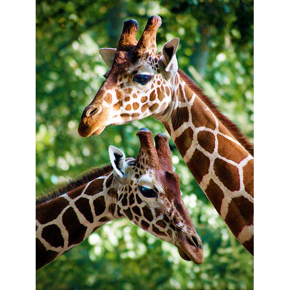 Diamond Painting Kit Panda Diamond Embroidery Cross Stitch Animal Pictures Of Rhinestones Mosaic Handicraft