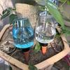 350ml Capacity Plant Watering Globes Slow Release Watering Balls Self Watering Bulbs  Garden Plants