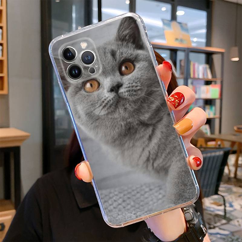 Чехол для телефона с британским короткошерстным котом для iPhone 14 13 12 11 Pro Max XS X XR SE 2020 6 7 8 Plus Mini Transparent Shell