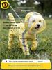 Raincoat for small and medium dogs, one-piece on four paws, fully waterproof, with reflective stripes and a leash hole