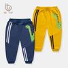 Dinosaur Print Cotton Boy's Casual Sports Pants – Kids' Trendy Trousers
