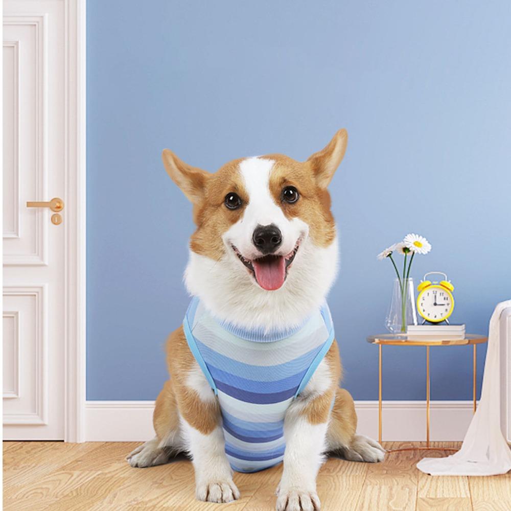 Blue Striped Pet Surgery Clothes Snap Buttons Small Dog Post-op Wear Pet Injury Care