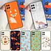 Чехол для телефона Oppo A17 A77 A60 A74 A94 A54 A18 A38 A58 A78 A98 A40 A80 A16 A76 A96 A15 A57S с рисунком лисы