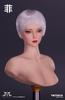 Игрушки Хобби Масштабная Экшн-фигурка Совместимая с телом TBLeague YMTOYS YMT083A Фэй Белые Короткие Волосы Азиатская Красавица Женская Голова и Одежда Не &