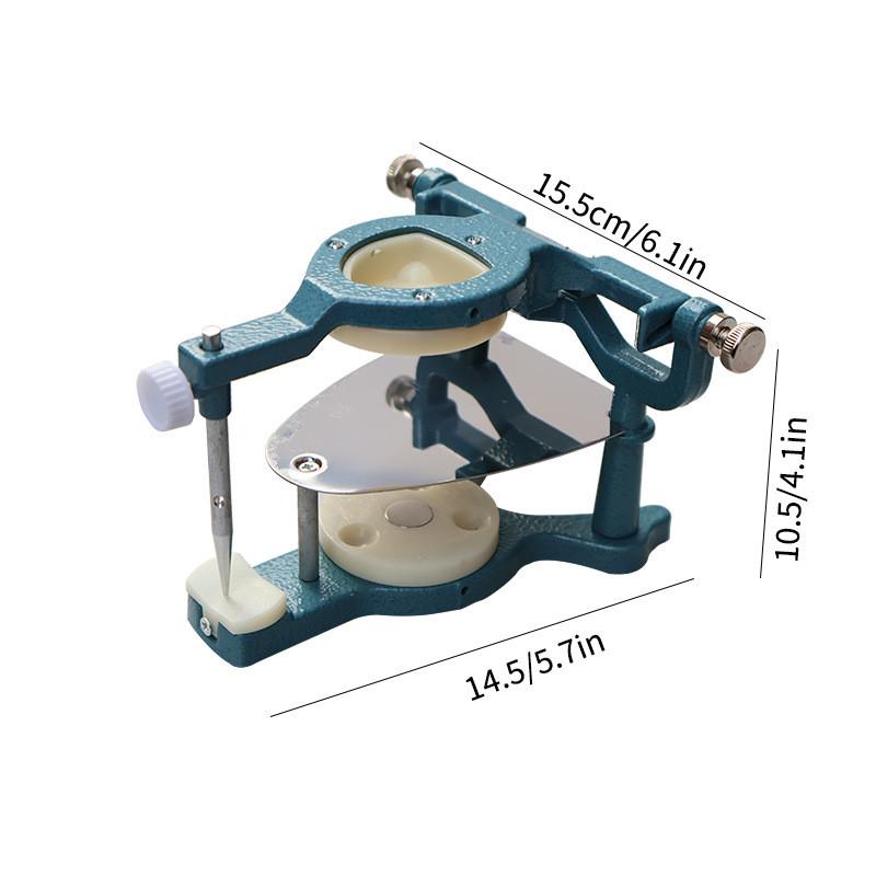 Magnetic Dental Articulator For Adults With Anatomical Model For Dental Education And Lab Use