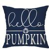 Home Decor Hello Pumpkin & Farm Fresh Autumn Decor Pattern Cushion Cover Suitable for Sofa Bedroom Car Pillow Cover