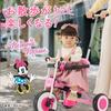 EC Ides Disney Tricycle with Foot Push Safety Passes SG Infants [Official Limited] (Minnie) Step, Rod, Bar, Standards, Children,