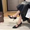 Women's Single Shoes 2024 New Spring and Autumn Temperament Classic Fashion Versatile Pointed Toe Stiletto High Heels for Women