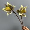 Single Branch Simulation Orchid Real Touch Silk Orchid Flower  Outdoor Indoor Decor