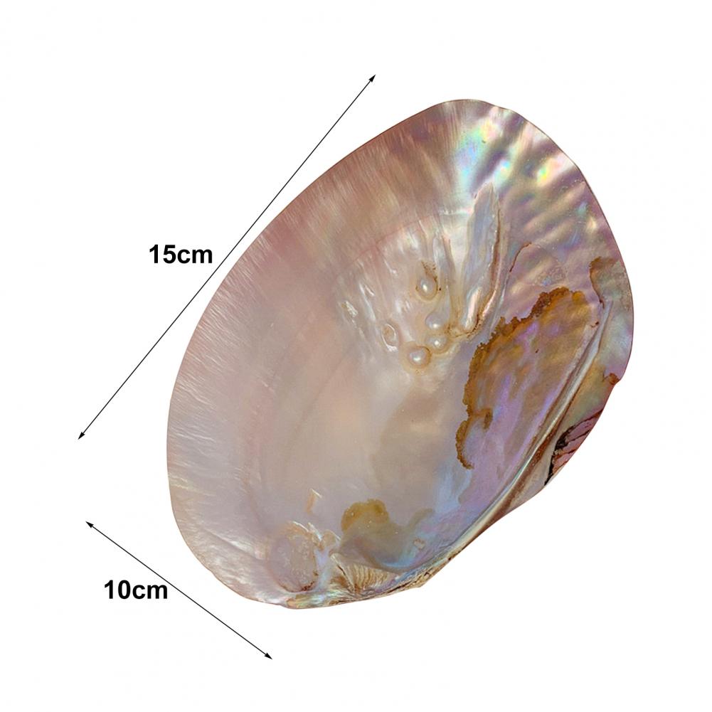Лоток для хранения, симпатичный лоток для хранения косметики, ювелирных изделий, компактный держатель для хранения