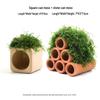 Aquatic Plant Moss Hideaway: Real Plant Jar for Fish & Shrimp