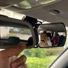 Широкоугольное зеркало заднего вида для автомобиля, регулируемое на 360 градусов, зеркало для заднего сиденья, интерьер автомобиля