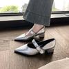 Fashion Metal One-strap Thick-heeled Shoes Autumn New Style Pointed Shallow Mouth Non-slip Wear-resistant Mid-heel Shoes