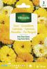 DWARF CALENDULA GYPSY FIESTA SEEDS