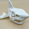 3D Печать Череп Акулы Скелет Косплей Реквизит Украшения для Аквариума Аквариумы, Террариумы Пейзажи для Аквариумов Укрытие для Рыб Креветок
