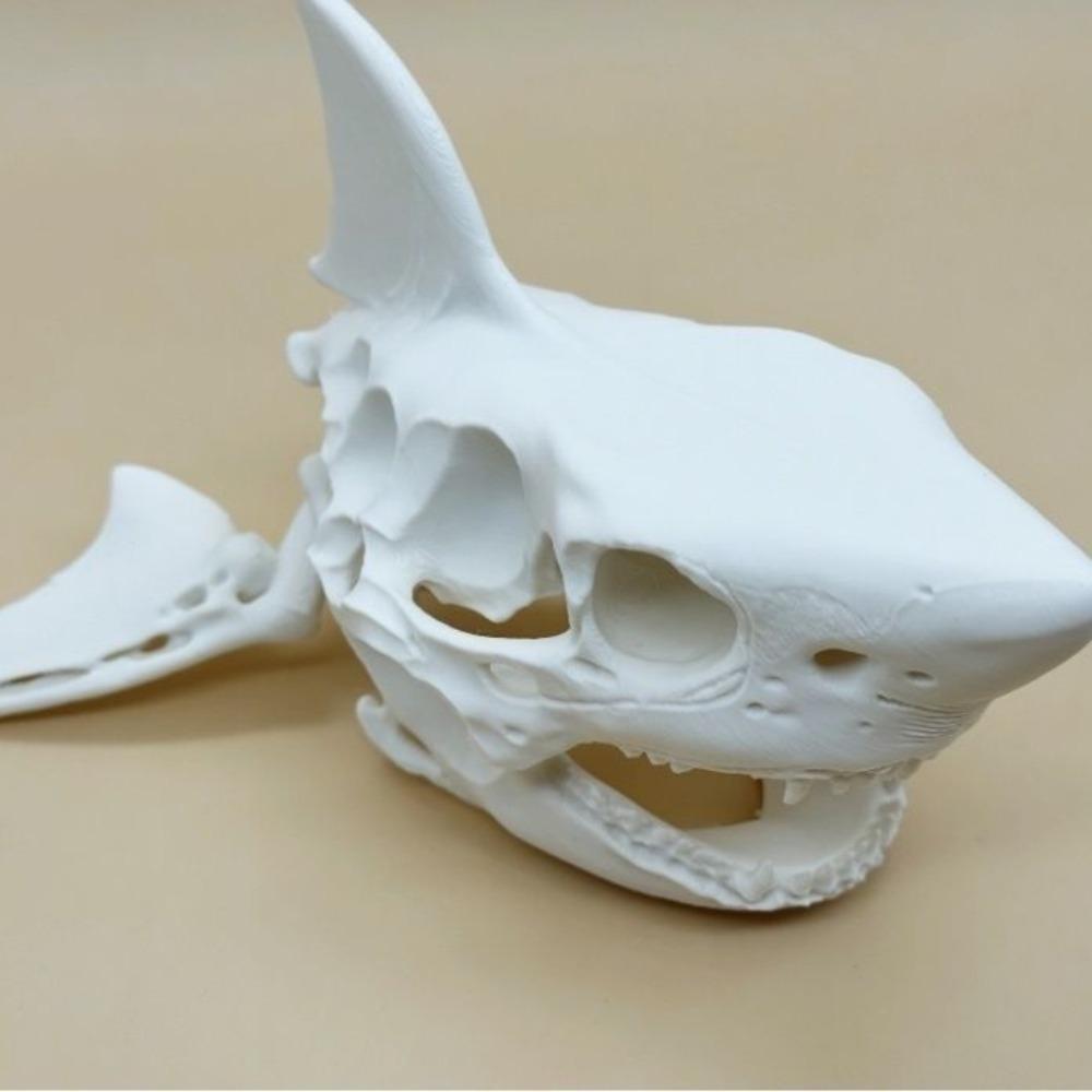 3D Печать Череп Акулы Скелет Косплей Реквизит Украшения для Аквариума Аквариумы, Террариумы Пейзажи для Аквариумов Укрытие для Рыб Креветок