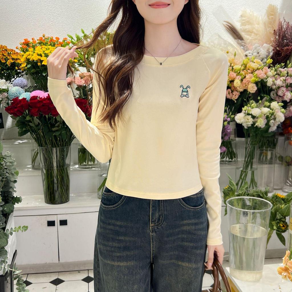 Женский топ из хлопка с длинными рукавами и круглым вырезом, осень 2024 года, вышитый